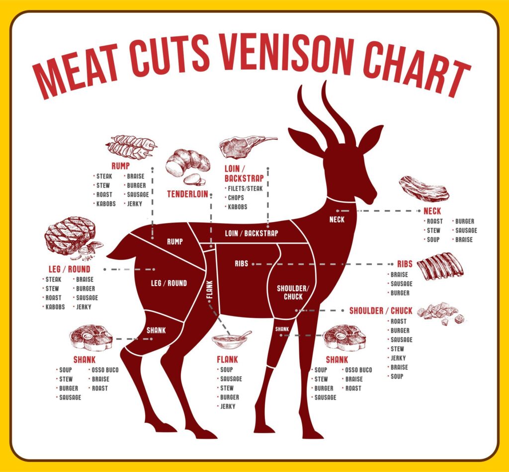 Grilling the Perfect Venison Cut